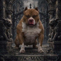 Red Gargoyle’s Pac-Man