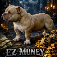 “EZ Money”