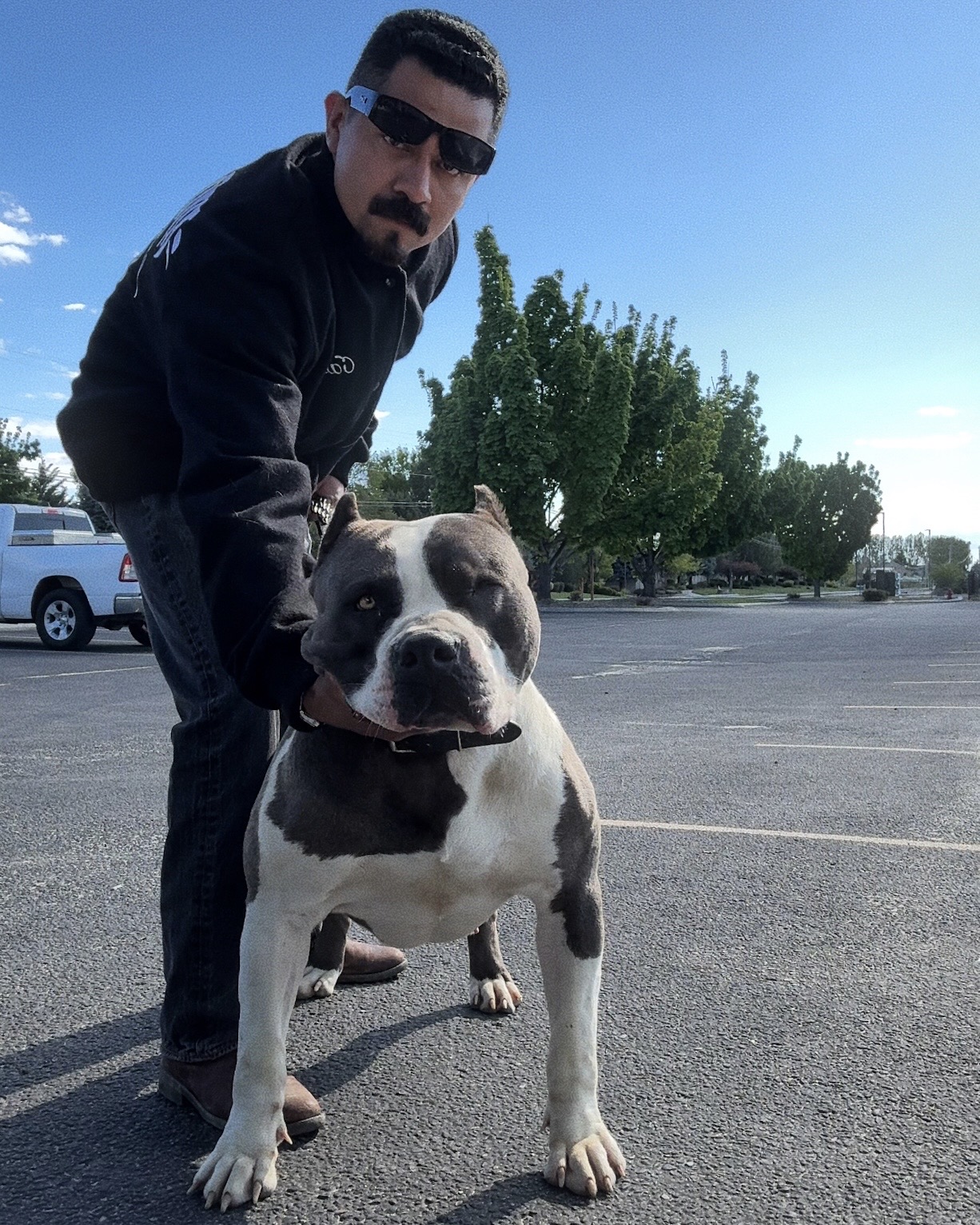 Dog Featured Image